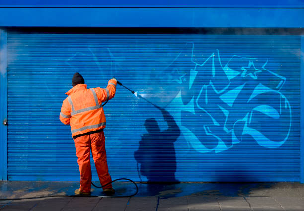 Best Residential Pressure Washing Services  in Mirrormont, WA