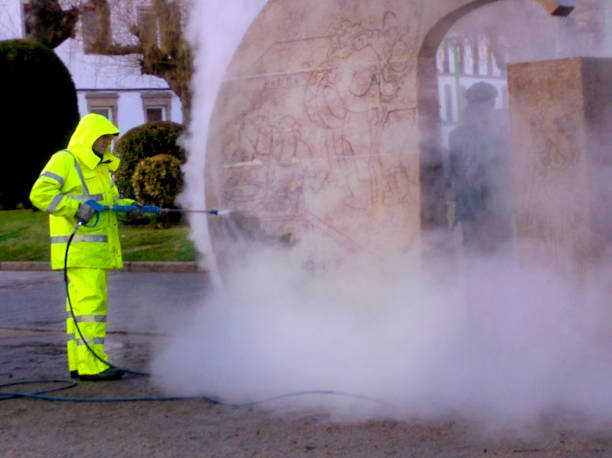Local Pressure Washing Services in Mirrormont, WA